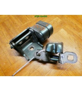 Türscharnier Renault Megane 2 II Farbcode TED97 Vert Cuivre hinten rechts