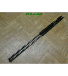 Gasdruck Gasdämpfer Heckklappendämpfer x 2 Stück hinten Renault Kangoo