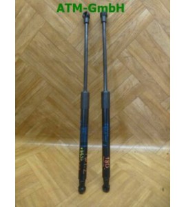 Heckklappendämpfer Gasdruck Gasdämpfer Renault Twingo 2 II x 2 Stück hinten