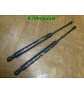 Heckklappendämpfer Gasdruck Gasdämpfer Renault Twingo 2 II x 2 Stück hinten