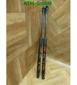 Gasdruck Gasdämpfer Gasfeder Renault Twingo 2 x 2 Stück hinten 8200385560