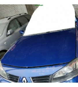 Motorhaube Renault Laguna 2 II Farbcode TEJ49 Farbe Blau