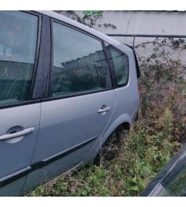 Tür hinten links Renault Megane Scenic 2 II Farbcode TEA19 Beige Angora