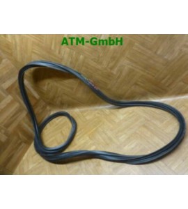 Türdichtung Dichtung Hyundai i30 5 türig hinten