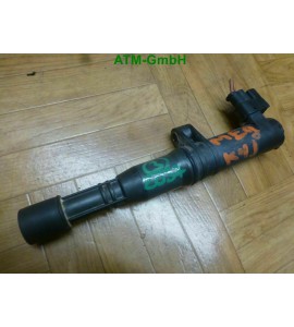 Zündspule Renault Scenic I Großraumlimousine 1 1.6 Denso 7700875000 029700-8290