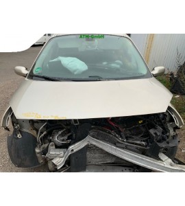 Motorhaube Renault Scenic 2 II Farbcode TED11 Farbe Beige Poivre Perleffekt