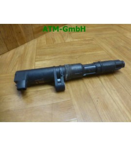 Einspritzdüse Renault Scenic 2 II 1,9 dCi Beru 7700875000 8200568671 0040100071