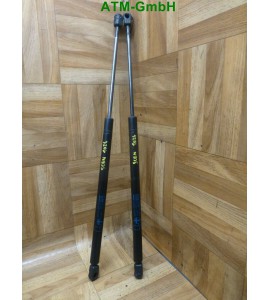 Gasdruck Gasfeder x 2 Stück Renault Scenic 2 II GM