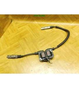 Zündspule Smart City-Coupe 450 0120026/8053847