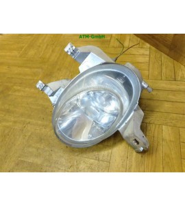 Nebelscheinwerfer Nebelleuchte NSL NSW Peugeot 206 links Fahrerseite