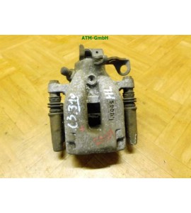 Bremssattel hinten links Citroen C3 Fahrerseite