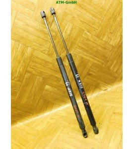 Heckklappendämpfer Gasdruck Gasdämpfer Renault Scenic 2 II x 2 Stück hinten