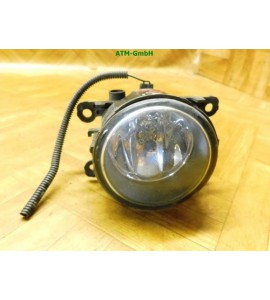 Nebelscheinwerfer Nebelleuchte NSL NSW Renault Scenic 2 II Valeo 89210094