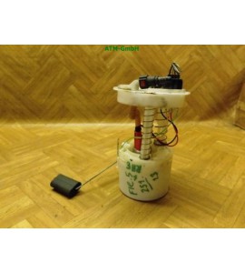 Kraftstoffpumpe Benzinpumpe Ford Fiesta 5 V 2S619H307CF