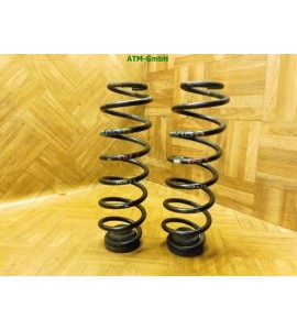 Feder Federn x 2 Stück hinten VW Fox