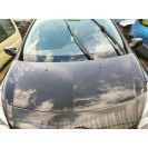 Motorhaube Renault Clio 3 III Farbcode NV676 Schwarz Noir Perleffekt