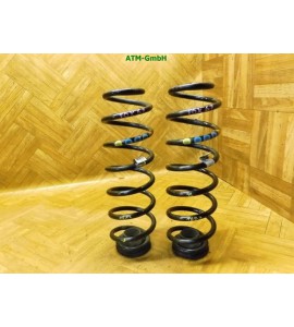 Feder Federn x 2 Stück hinten VW Fox