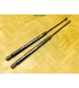 Heckklappendämpfer Gasdruck Gasdämpfer hinten x 2 Stück VW Fox 5Z6827550B