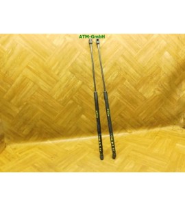Heckklappendämpfer Gasdruck Gadsämpfer x 2 Stück hinten Opel Corsa D 3 türig