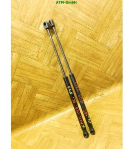 Heckklappendämpfer Gasdruck Gasdämpfer Renault Megane 2 II Cabrio hinten x 2
