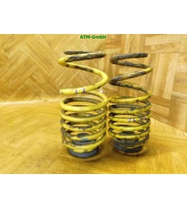 Feder Federn x 2 Stück hinten Audi TT