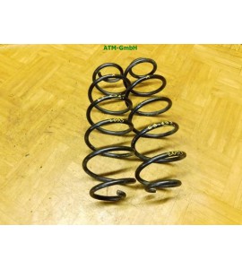Feder Federn x 2 Stück hinten Citroen C3