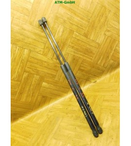 Heckklappendämpfer Gasdruck Gasdämpfer x 2 Stück hinten Ford Fiesta 6 VI