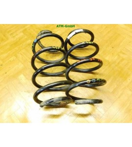 Feder Federn x 2 Stück hinten VW Passat B6 Kombi Variant