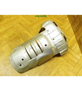 Blech Hitzeblech VW Fox