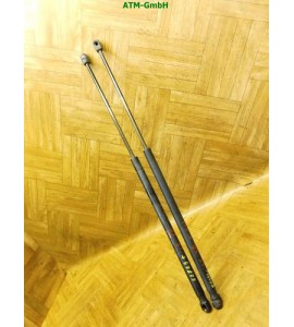 Heckklappendämpfer Gasdruck Gasdämpfer x 2 Stück hinten Ford Fiesta 5 V 3 türig