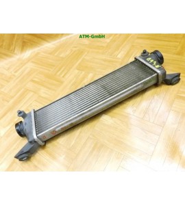 Kühler Ladeluftkühler Mercedes Benz A-Klasse W168 A1685000000