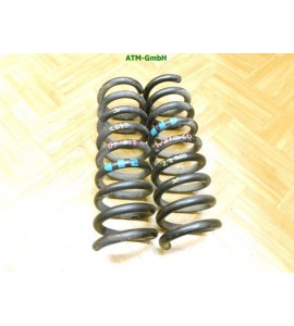 Feder Federn x 2 Stück Mercedes Benz E-Klasse W210 Limousine