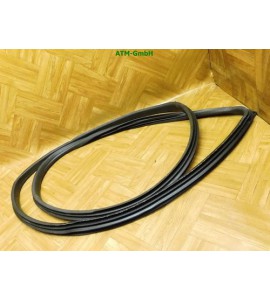 Dichtung Türdichtung vorne links Ford Fiesta 6 VI 3 türig Fahrerseite