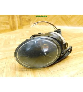 Nebelleuchte NSW NSL Nebelscheinwerfer VW Passat B6 3C5 271294-00 Hella rechts