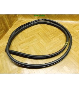 Dichtung Türdichtung Türverkleidung Mazda 2 II 5 türig vorne links