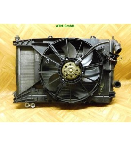Wasserkühler Kühlerlüfter Gebläsemotor Renault Scenic GATE 8200065257B