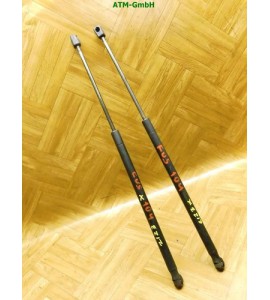 Gasdruck Gasdämpfer Heckklappendämpfer x 2 Stück hinten Ford Fusion