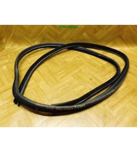 Dichtung hinten links Türdichtung BMW 5 5er E60 Limousine Fahrerseite