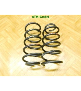 Feder Federn x 2 Stück hinten Opel Corsa D 3 türig
