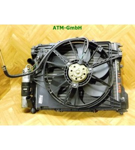 Wasserkühler Kühlerlüfter Elektrolüfter Klimakühler Renault Clio 2 8200086193