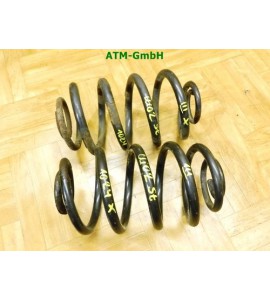 Feder Federn x 2 Stück hinten Renault Clio 2 II 5 türig