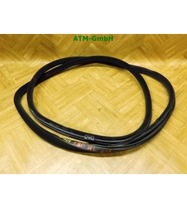 Dichtung Türdichtung hinten links Volvo S80 2 II 124 Limousine D3 Fahrerseite