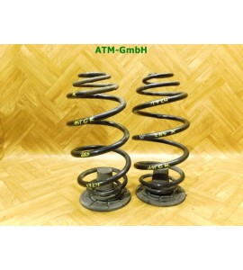 Feder Federn x 2 Stück hinten Opel Astra G