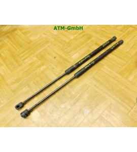 Gasdruck Gasdämpfer x 2 Stück hinten Heckklappendämpfer Dacia Sandero 8200735264