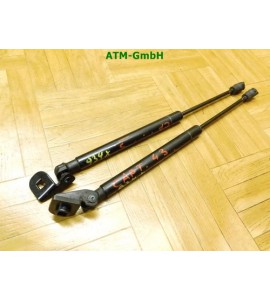 Gasdruck Gasdämpfer Heckklappendämpfer x 2 Stück hinten Chevrolet Captiva