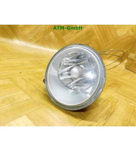 Nebelscheinwerfer Nebelleuchte NSW NSL rechts Renault Scenic Beifahrerseite