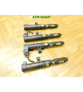 Zündspule x 4 Stück Set Zündspulenset Renault Laguna 2 II Beru 0040100052