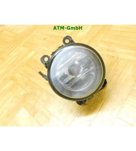 Nebelscheinwerfer Nebelleuchte NSW NSL Renault Laguna 2 II Valeo 8200074008