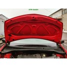 Motorhaube Renault Clio 3 III Farbcode DV727 Farbe Rot Rouge VIF