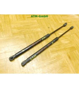 Gasdruck Gasdämpfer hinten Heckklappendämpfer x 2 Stück Suzuki Swift 3 III